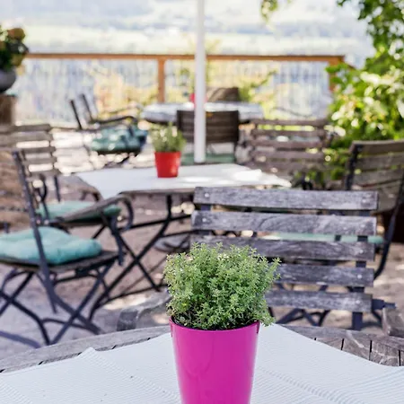 Adler Мини-отель *